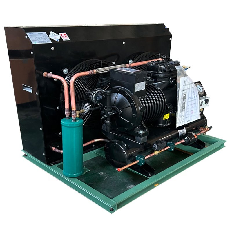 Factory Price 5hp Copeland Air Cooled Condenser Unit Fast Freezing for Cold Room Durable Metal Material