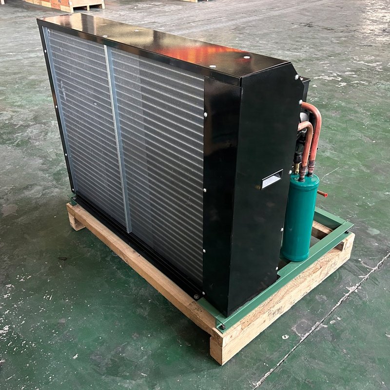 Factory Price 5hp Copeland Air Cooled Condenser Unit Fast Freezing for Cold Room Durable Metal Material