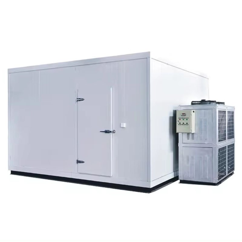 Cold Room Refrigeration Compressor Racks, Low Temperature Piston Parallel Condensing Unit for Fishery