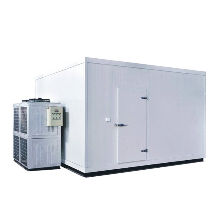 Cold Room Refrigeration Compressor Racks, Low Temperature Piston Parallel Condensing Unit for Fishery