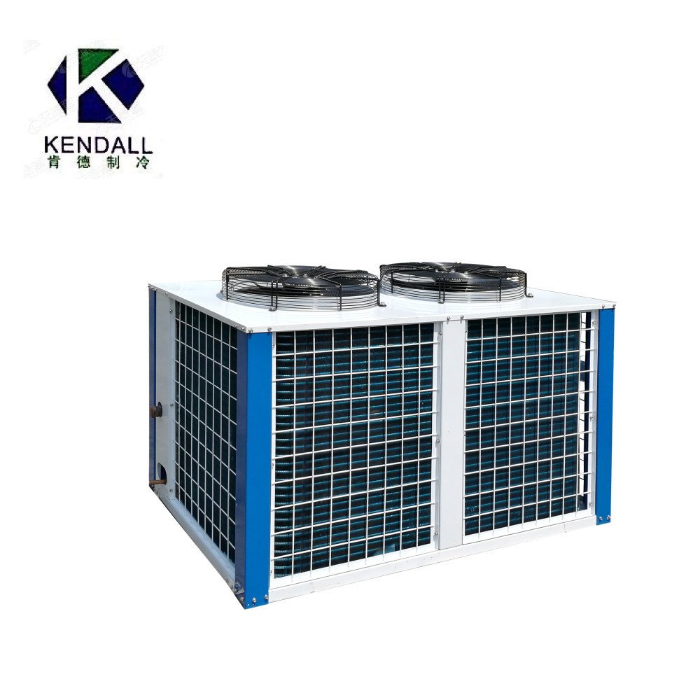 Cold Room Refrigeration Compressor Racks, Low Temperature Piston Parallel Condensing Unit for Fishery
