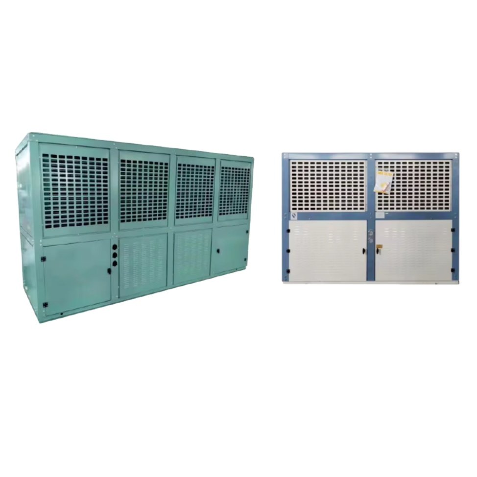Customized Condensing Unit Cold Storage Industrial Walk-in Freezer Refrigeration for Fruit