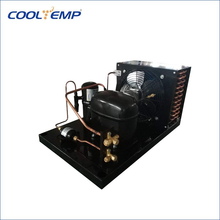 Original Import Dorin Compressor Air Cooled Condensing Unit for Blast Chiller