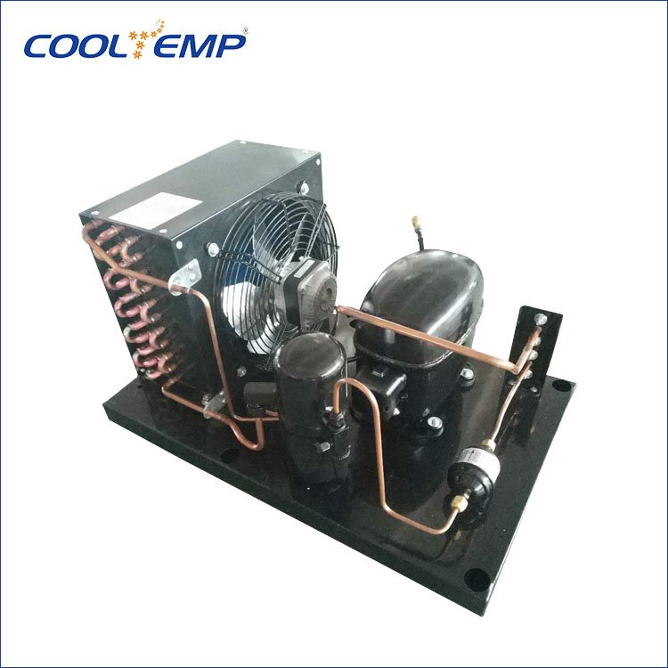 Original Import Dorin Compressor Air Cooled Condensing Unit for Blast Chiller