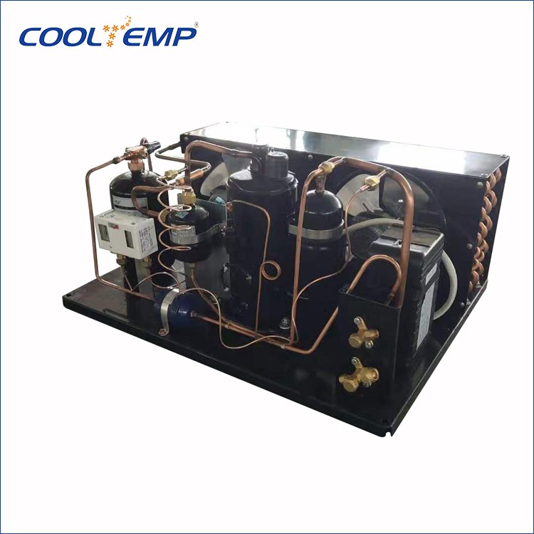 Original Import Dorin Compressor Air Cooled Condensing Unit for Blast Chiller