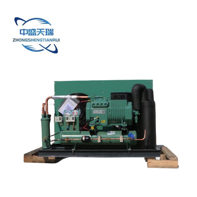 Cold Room Refrigeration Unit Condensing Unit Power Saving Refrigeration Unit for Cold Storage