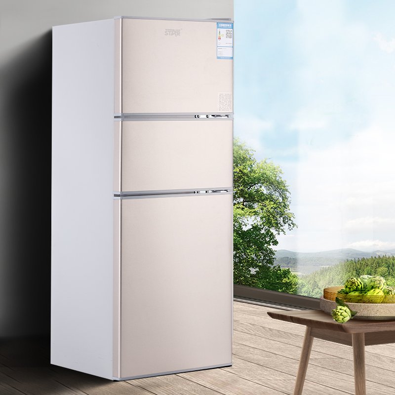 WINNING STAR 76L AC Three Doors Refrigerator BG-83 Fruit Vegetable Food Preservation Home Using Fridge Freezer