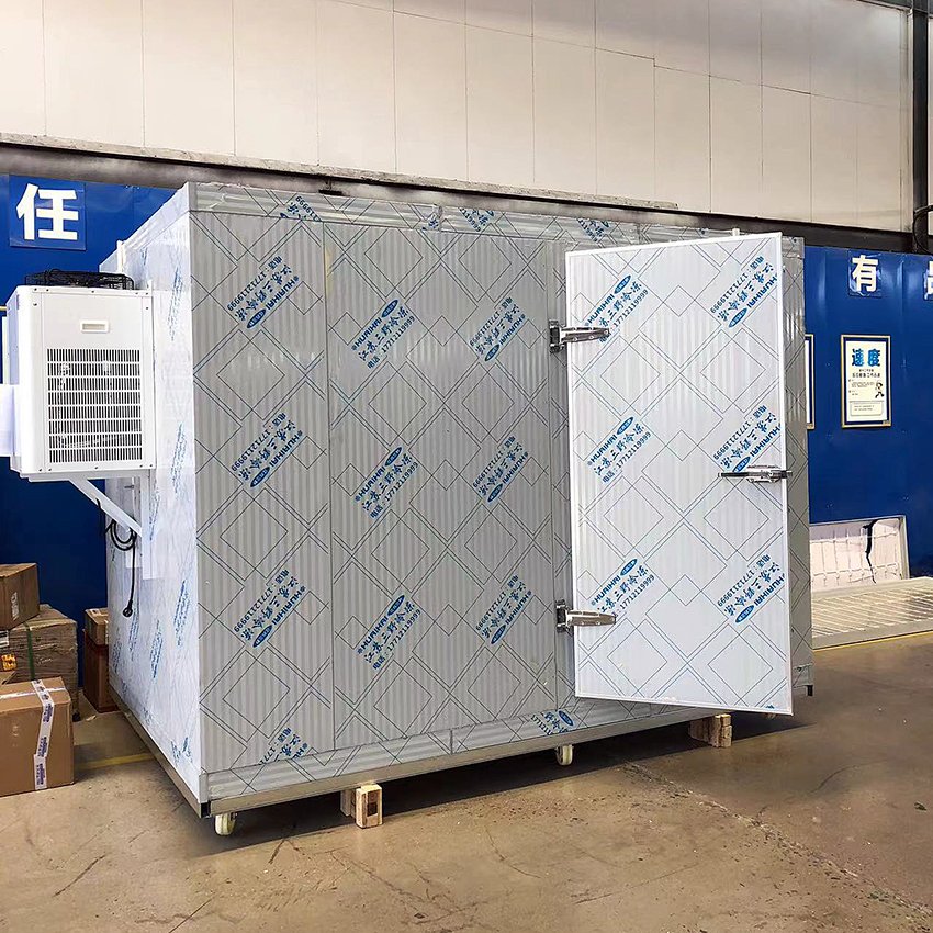 Commercial Easy to Install Cold Chiller Freezer Room Large Capacity Mobile Storage Delivery With Disassemble