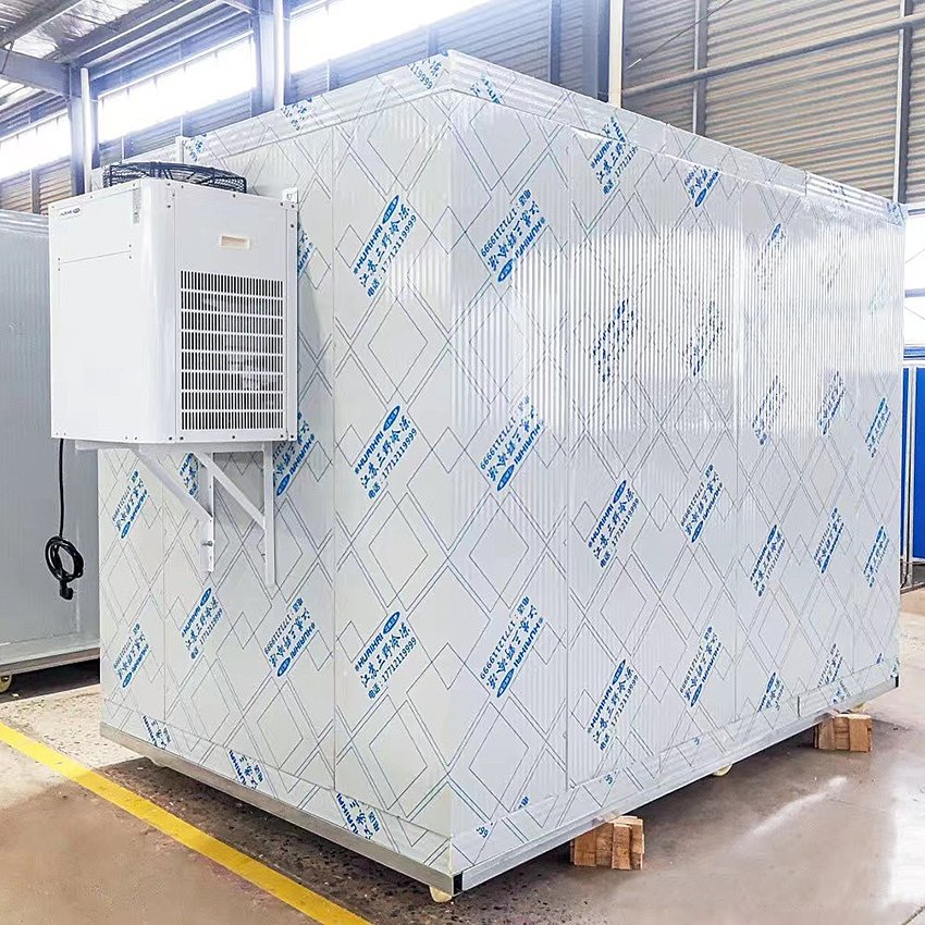 Commercial Easy to Install Cold Chiller Freezer Room Large Capacity Mobile Storage Delivery With Disassemble