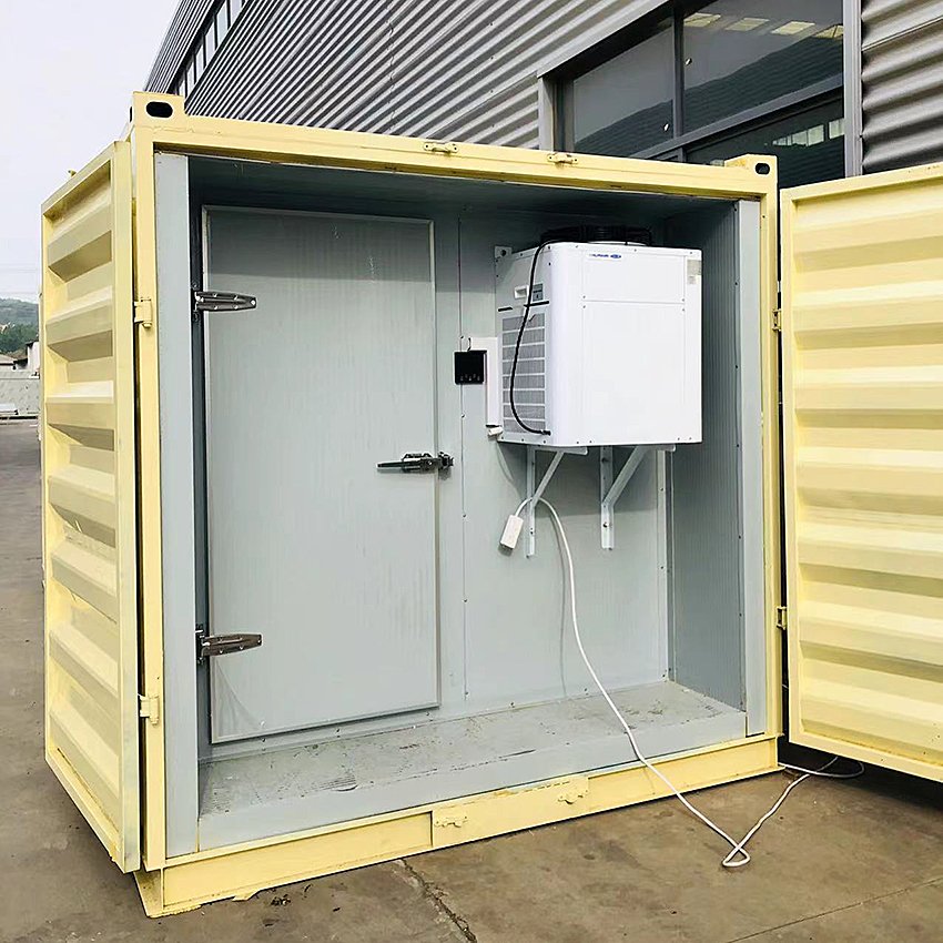 Commercial Easy to Install Cold Chiller Freezer Room Large Capacity Mobile Storage Delivery With Disassemble