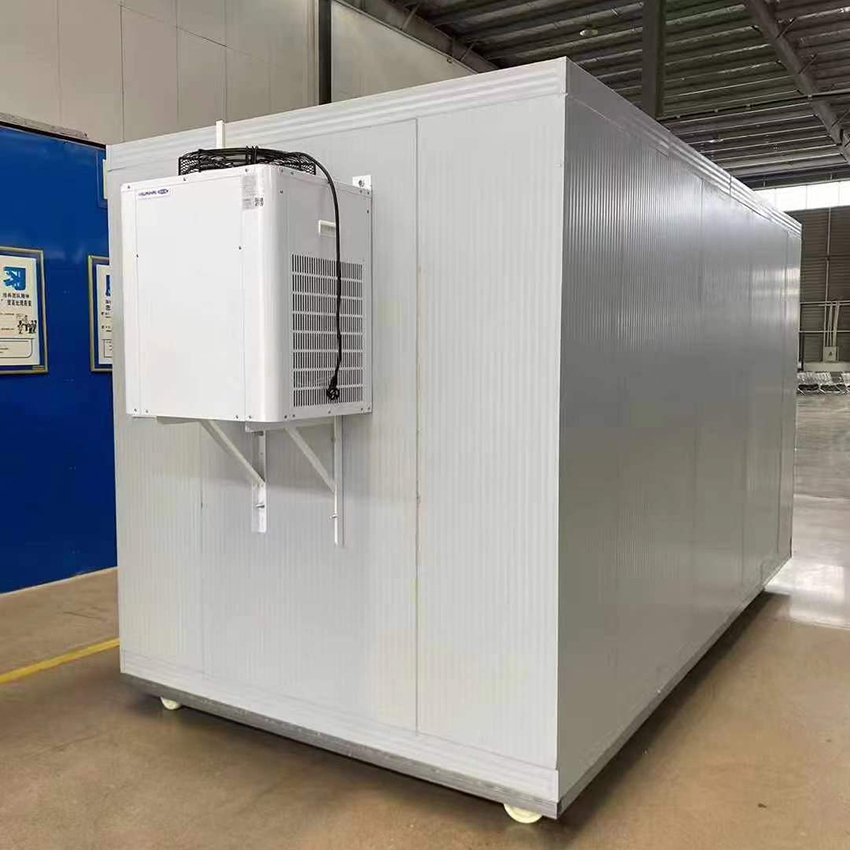 Commercial Easy to Install Cold Chiller Freezer Room Large Capacity Mobile Storage Delivery With Disassemble