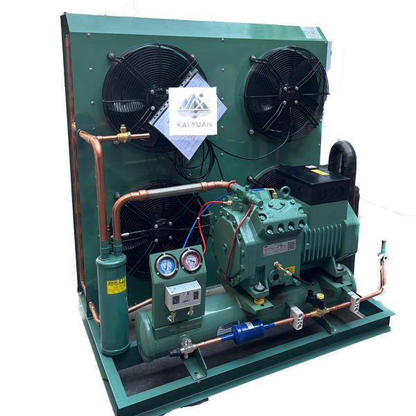 Fresh-keeping and Freezing Manufacturers Supply Bitzer Refrigeration Compressor Water-cooled Air-cooled Condensing Units