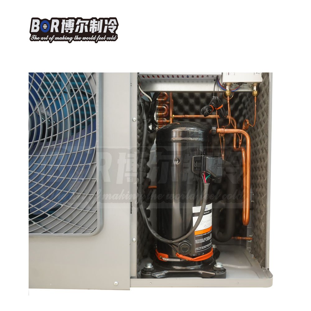 Efficient 2HP Copeland Compactor 380V Side Air Outlet Design Energy-Efficient Box Type Condensing Unit For Fruit Refrigerator