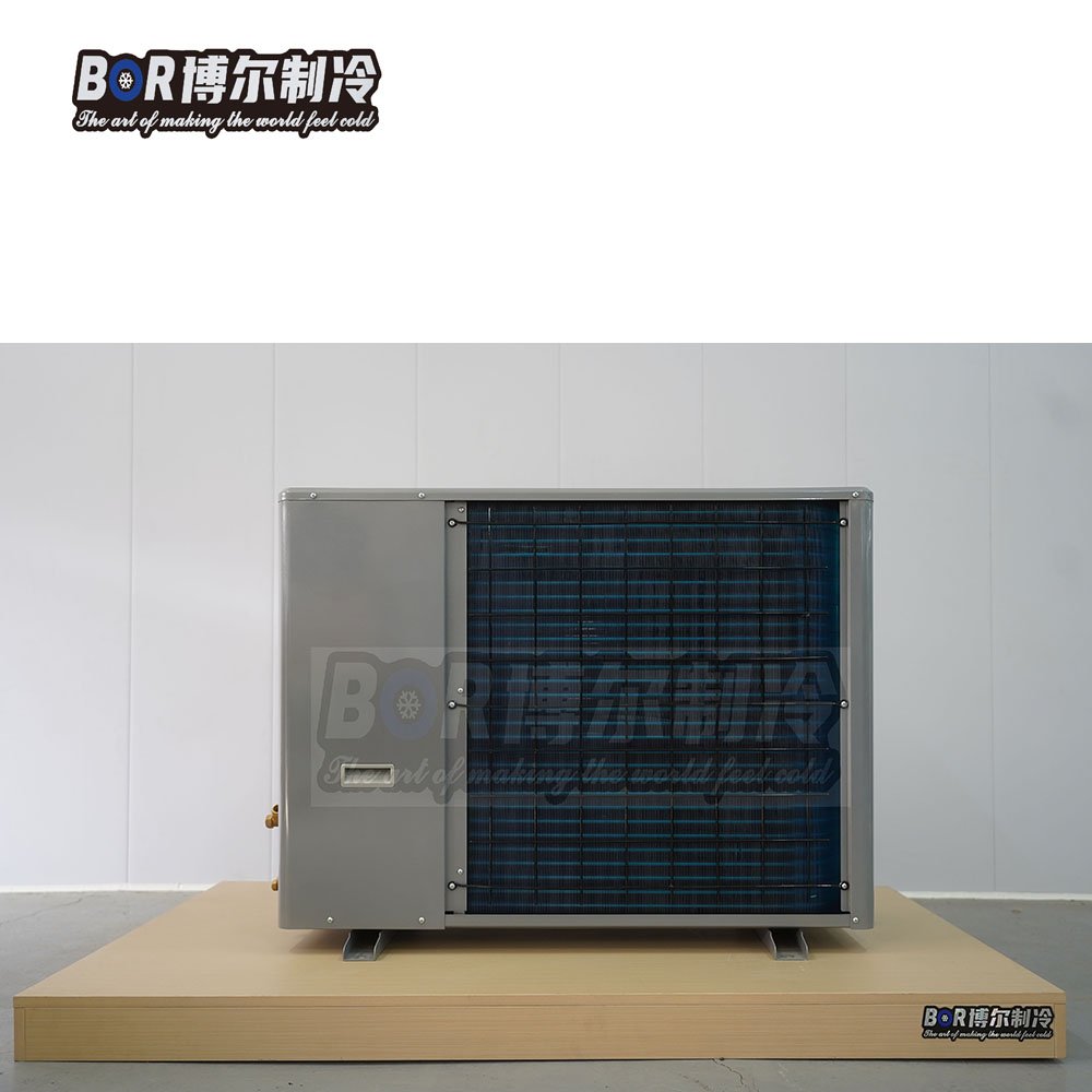Efficient 2HP Copeland Compactor 380V Side Air Outlet Design Energy-Efficient Box Type Condensing Unit For Fruit Refrigerator