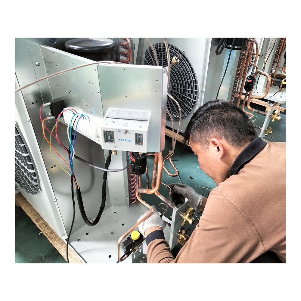Hot Sale Smart Constructed Unit Good Quality Condensing Unit for Cold Rooms Food Storage All in One Machine
