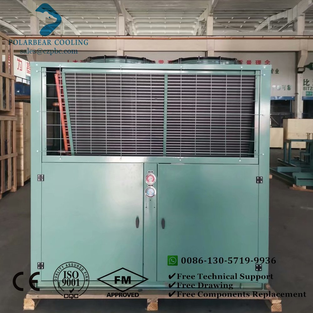 3hp 5hp 6hp 10hp Cold Room Condensing Unit with Air Cooled Compressor