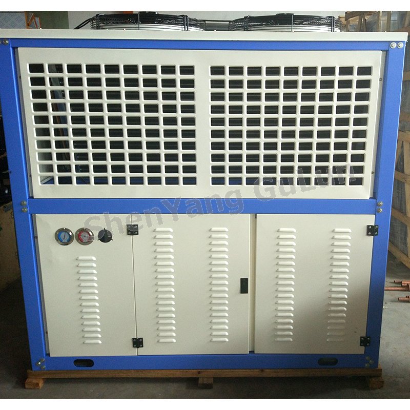 Professional Reference 530kg Liaoning ChinaNew 6S25-AL 25HP Air-cooled Condensing Units R22 Refrigerant Compressor Restaurant