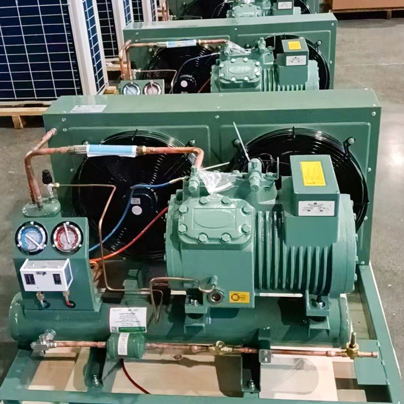 Refrigeration Open Type Bitze Semi-Hermetic Low Temperature Air Cooling 3Hp 15Hp 30Hp for Freezer Cold Room R22 Condensing Unit