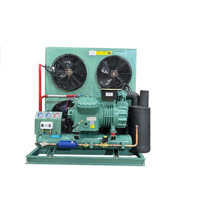 Germany Air Cooled . Compressor Refrigeration Cold Room Condensing Unit