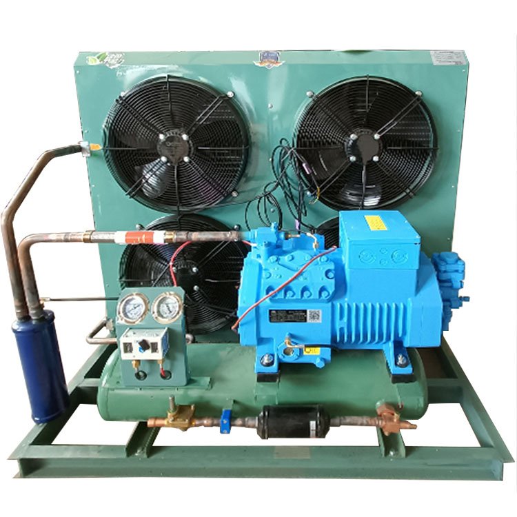 Refrigeration Equipment Fitted With Quality Refrigerator Compressor Chille Compressor Condensing Unit for Sale