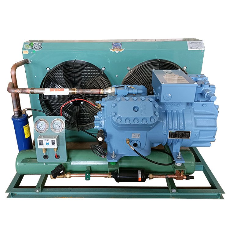 Refrigeration Equipment Fitted With Quality Refrigerator Compressor Chille Compressor Condensing Unit for Sale