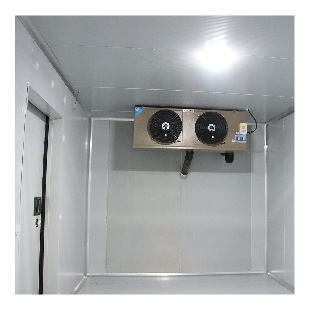 Wholesales Refrigeration All in One Machine Cold Storage Is Suitable for Colder Storage of Vegetables Fruits and Meat
