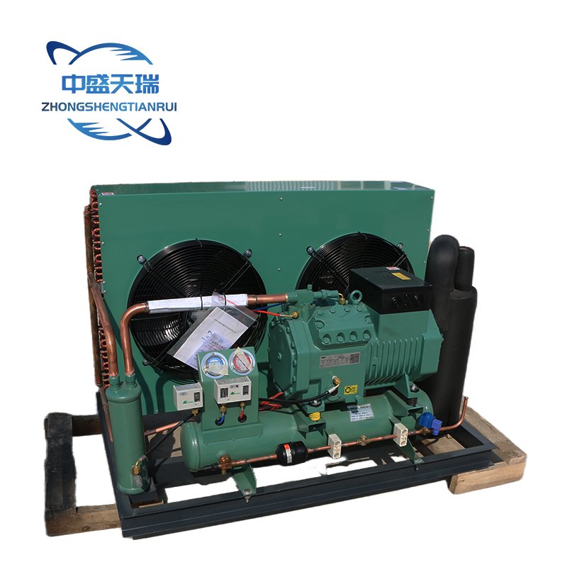 R290/380V/110V/220V 2-Fan Open Type Condensing Units with Invotech Scroll Compressor Refrigeration Unit Cooler