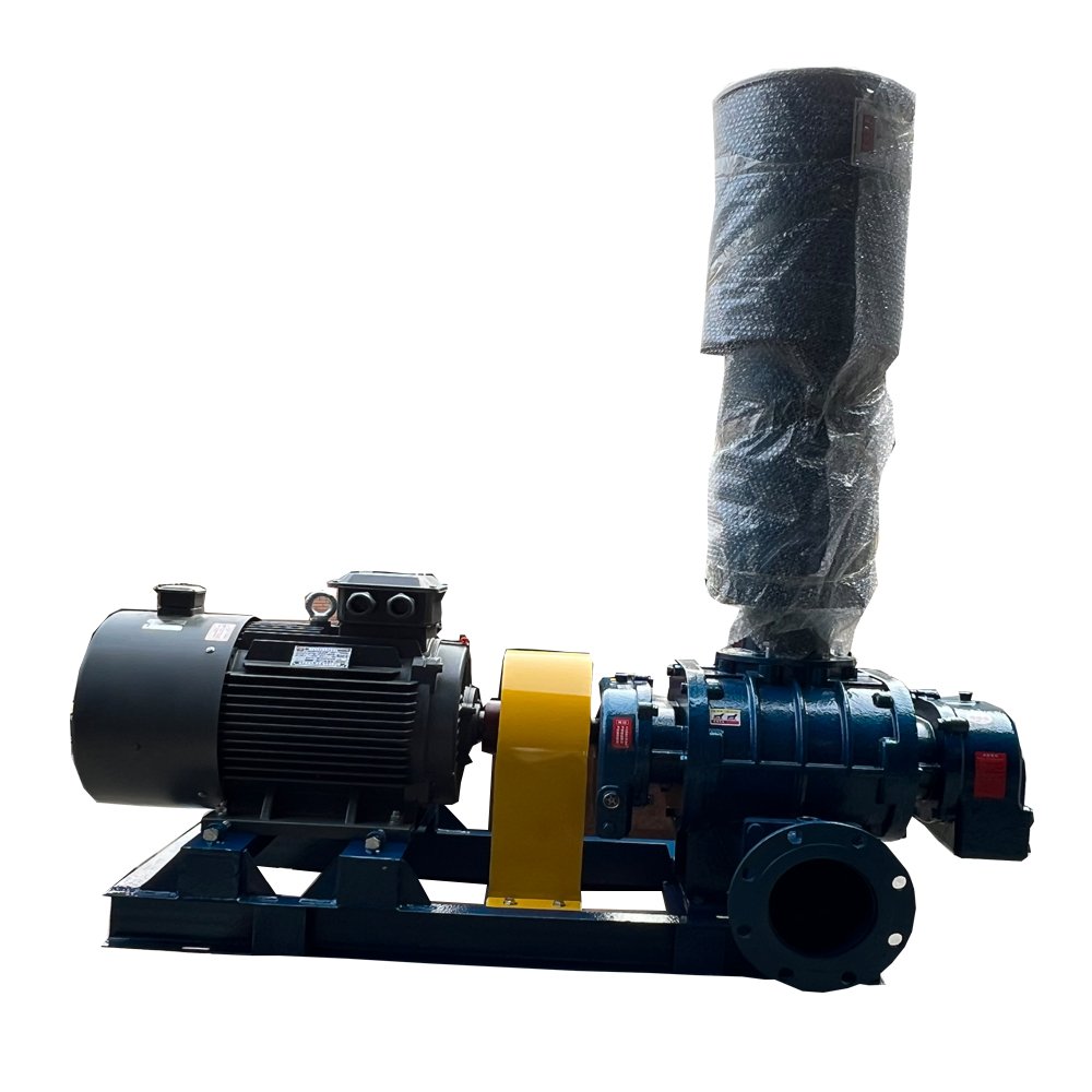 Factory Direct Sale Wind Machine Wastewater Treatment Aeration Special Roots Blower and Mineral Powder Conveying