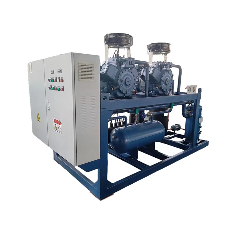 Supermarkets Marine Frascold Air Cooled Condensing Unit High Quality Energy Saving Low Temperature Screw Compressors New