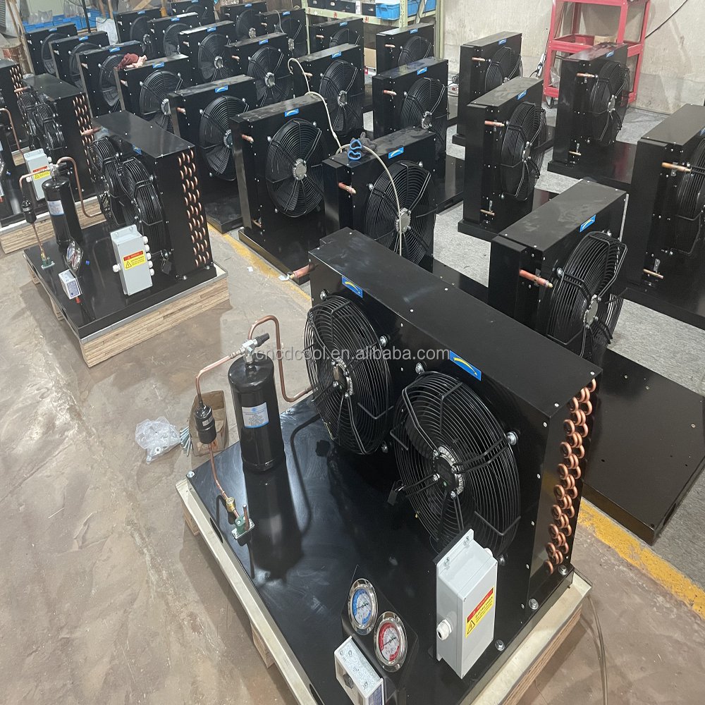 Chenda Factory Durable Using Cold Room Air Cooled Condensing Refrigeration Condensing Unit Freezer Commercial Equipment