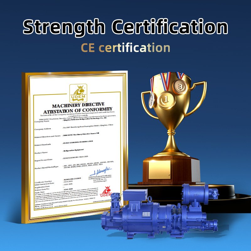 Hot Sale Stainless Steel Air Cooled Condensing Units Refrigeration and Heat Exchanger Condens Equipment with Screw Compressor