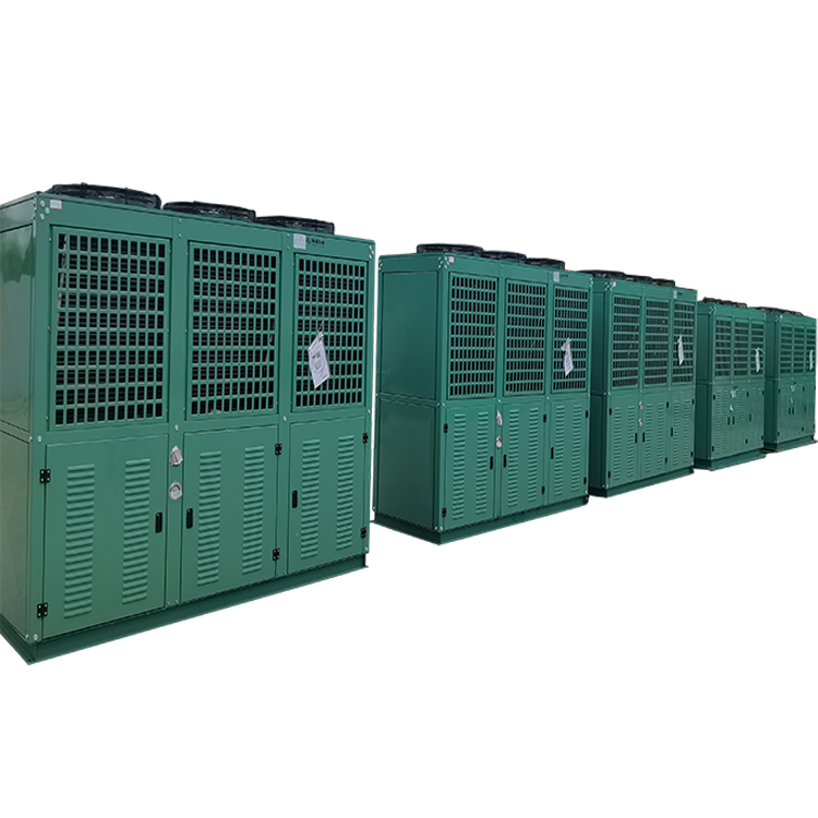 Rooftop Ac Refrigeration Unit Cold Room Cooling Unit for Poultry Cooling Cargo in Turkey of Bitzer