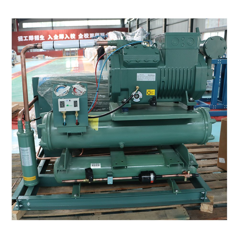 New Type Warranty One Year Good Quality German Original Piston Compressor Refrigeration Condensing Unit for Cold Room