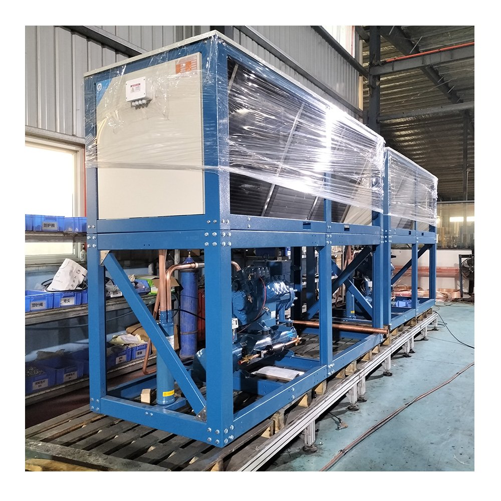 New Type Warranty One Year Good Quality German Original Piston Compressor Refrigeration Condensing Unit for Cold Room