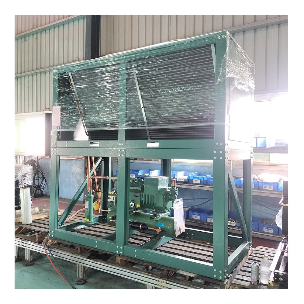 New Type Warranty One Year Good Quality German Original Piston Compressor Refrigeration Condensing Unit for Cold Room
