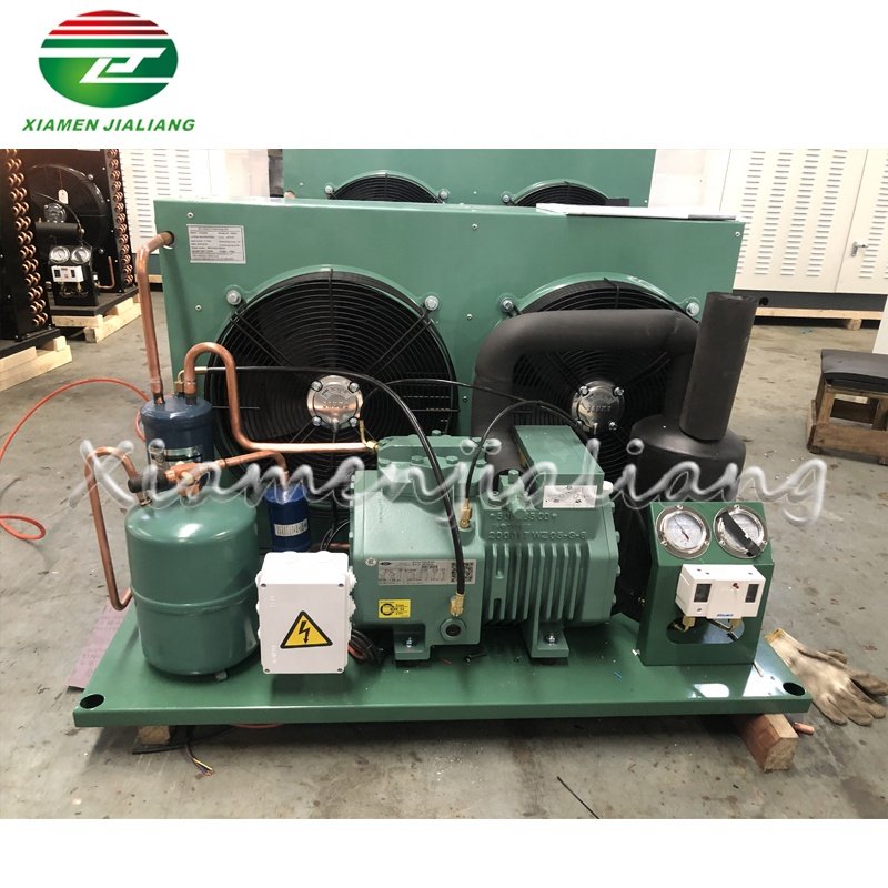 Blast Freezer Cold Storage Room Cooling Refrigeration System Bitzee Compressor Condensing Unit for Cold Room