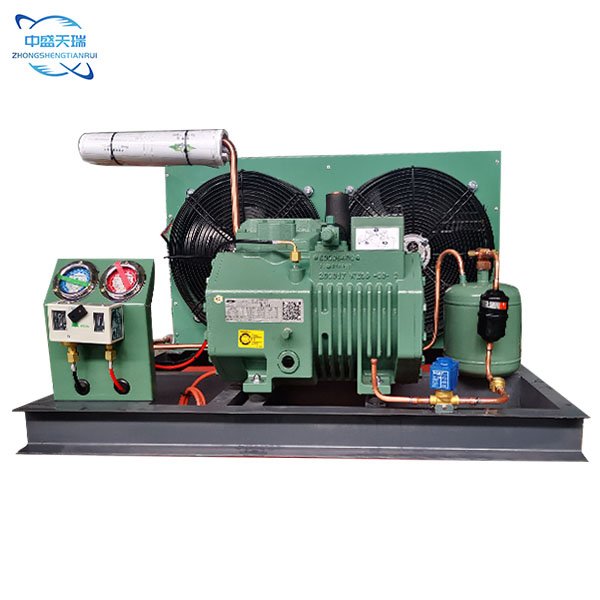 R290/380V 2 hp 3 hp 5 hp Hot Sale Cold Room Cold Storage High Performance Two Stage Bitzer Compressor Air Cooled Condensing Unit