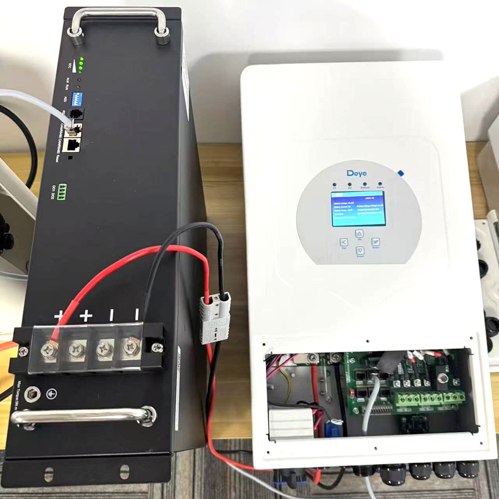 Fast Delivery 48V Lithium Ion Battery 4.8Kwh 100Ah Lifepo4 Lithium Battery Pack