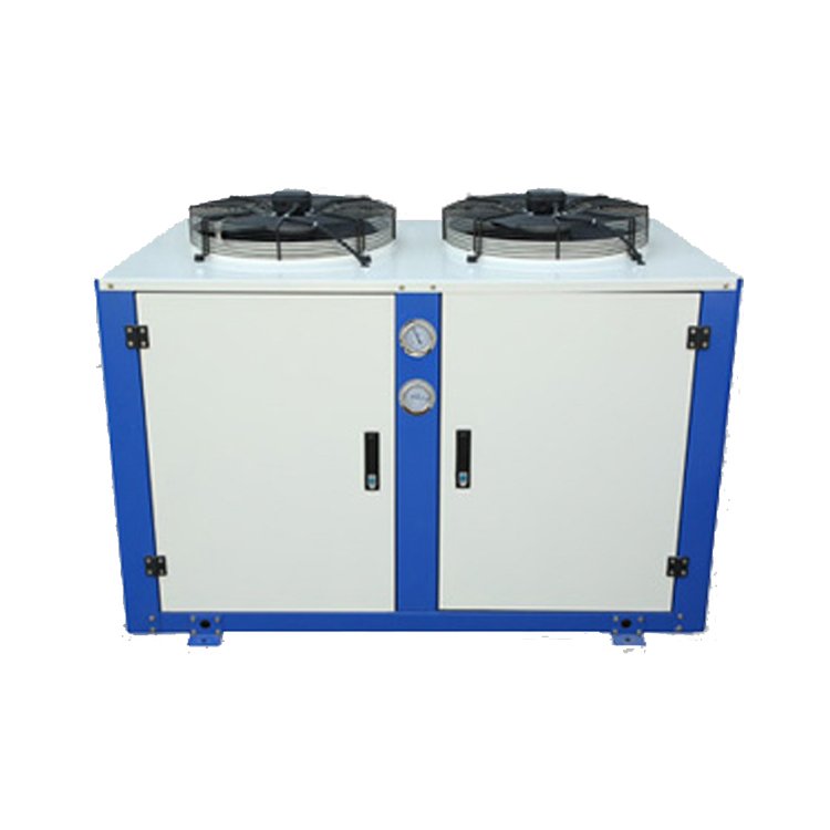 4EES-6Y Compressor 6HP Piston Condensing Units with Compressor air Cooled Refrigeration Condensing Unit