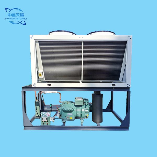 R290/380V Bitzer Condensing Unit with Air Cooled for Cold Rooms