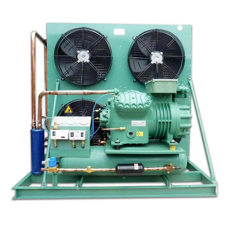 5HP~25HP Bitzer Compressor Unit Air-Cooled Condensing Unit for Cold Chamber Refrigeration High Efficiency Bitzer Compressor