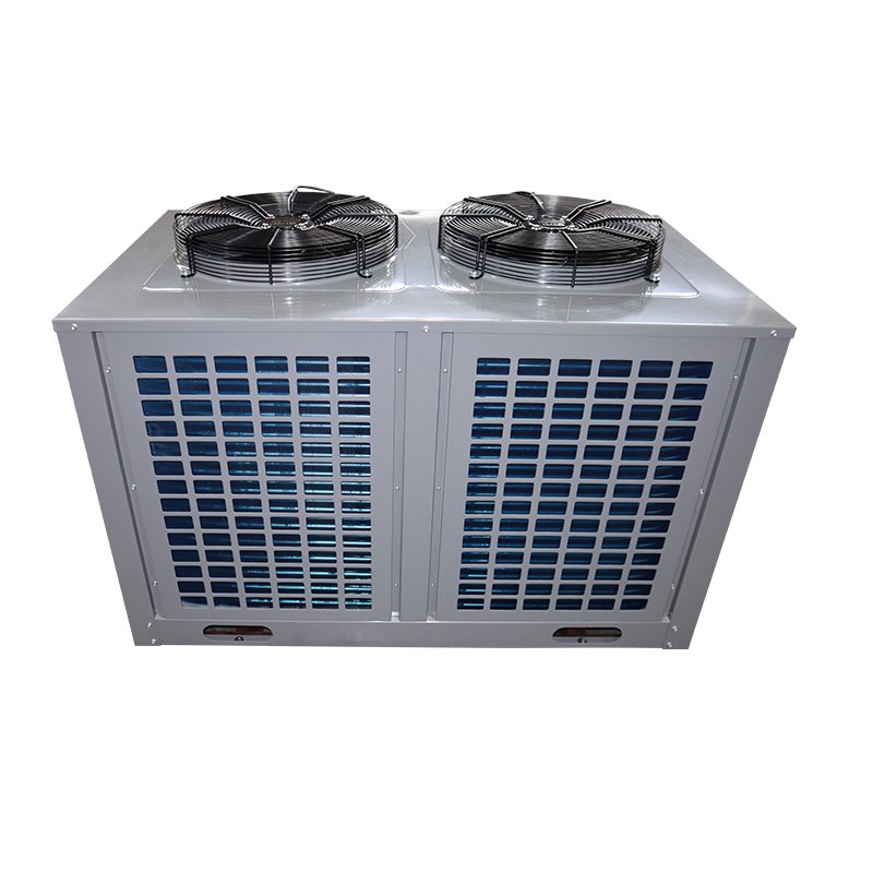 Hot Sale U-Type Low Noise Air-Cooled Condensing Unit Premium Refrigeration & Heat Exchange Parts