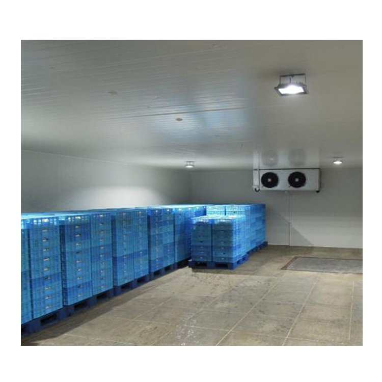 Low Noise Condenser Air Fan Cooler Cold Room Evaporator Wall Standing Air Cooler with CE Certificate DL-3/15