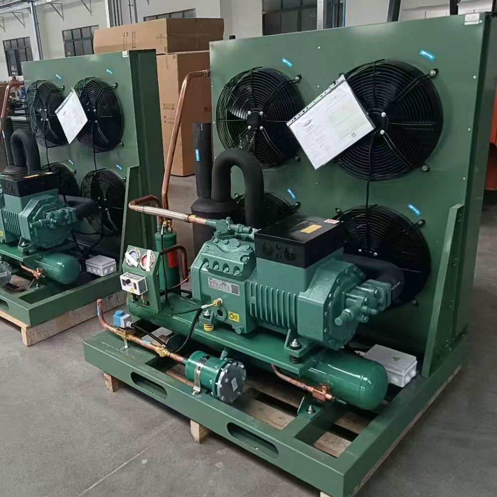 Factory 3hp 5hp 6hp 10hp 20hp Germany Air Cooled Compressor Condensing Unit for Cooling System Refrigeration