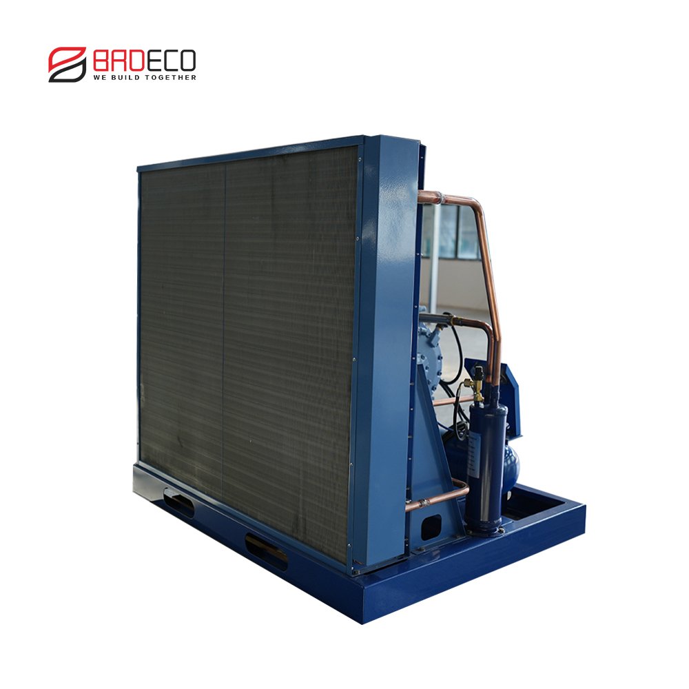 Factory 3hp 5hp 6hp Condenser Unit for Walk in Cooler Air Condenser