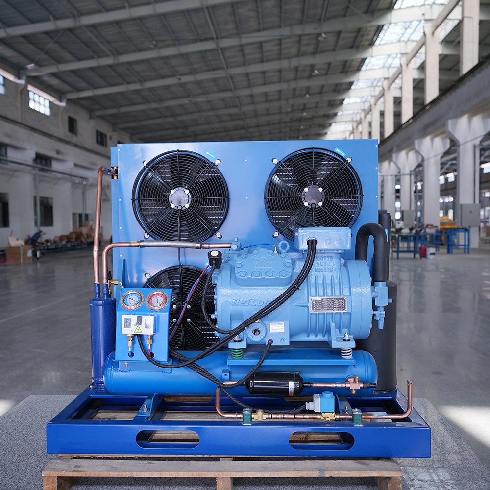 Factory 3hp 5hp 6hp Condenser Unit for Walk in Cooler Air Condenser