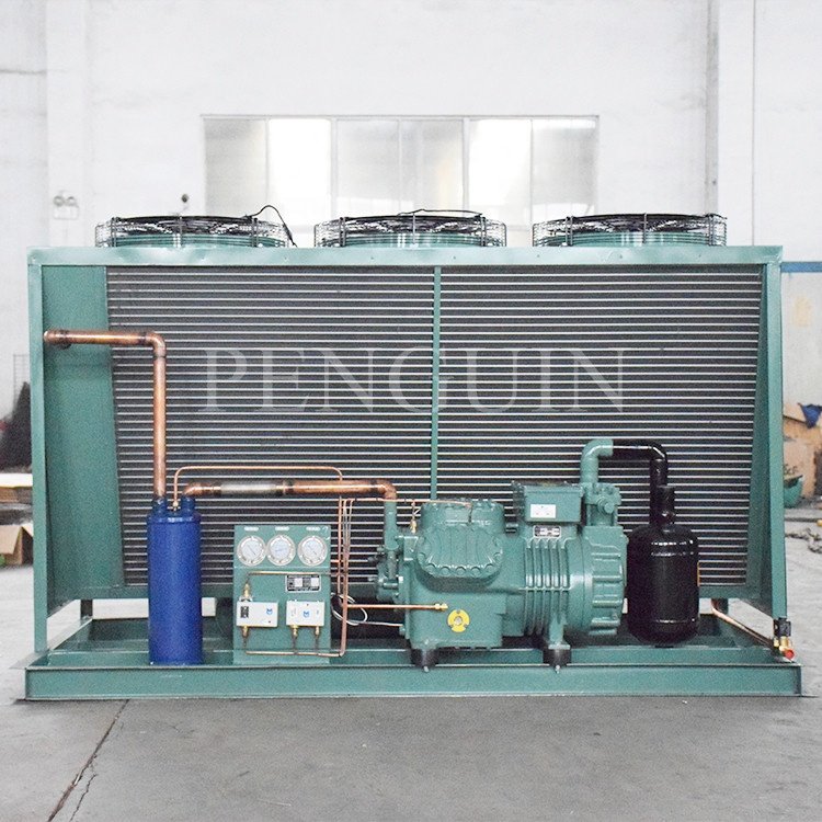 Air Cooler Room Refrigeration Cold Storage Freezing Units