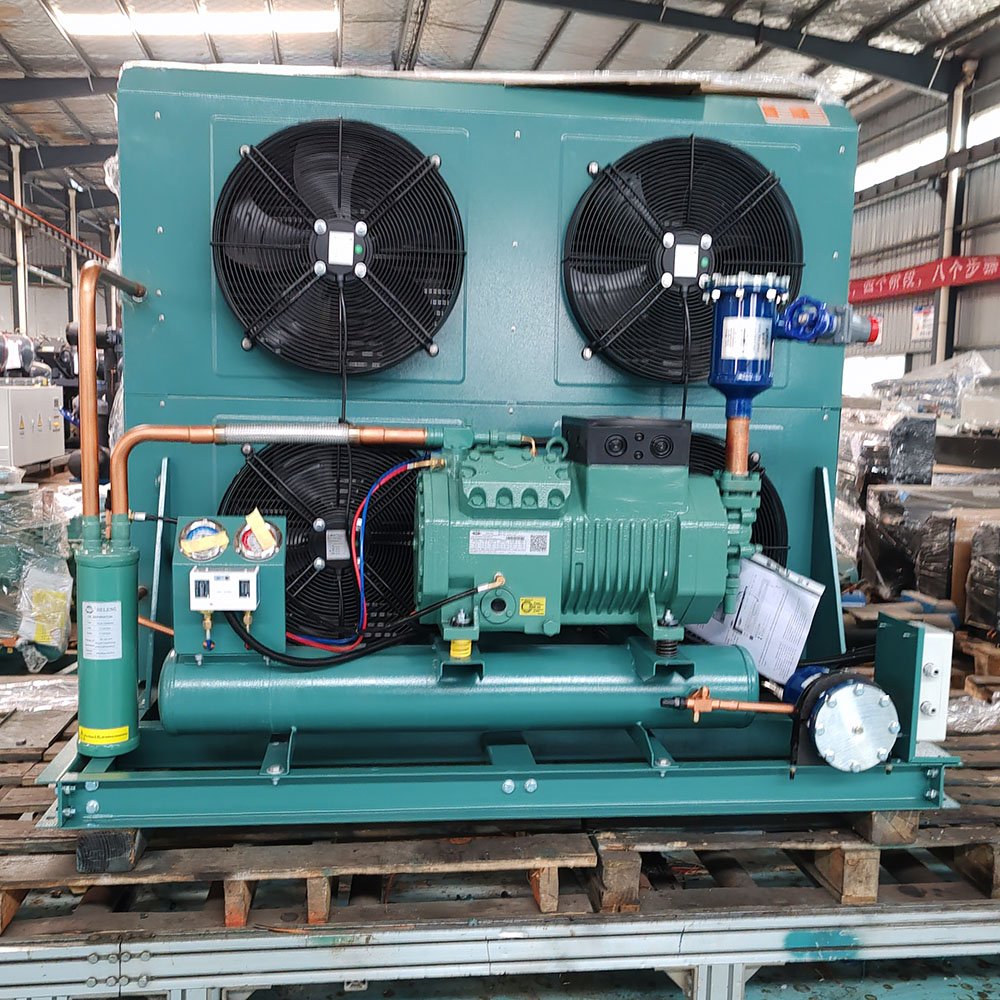 Freezing Drier Cooler Cold Storage 12V Open air Cooled Compressor Condensing Unit