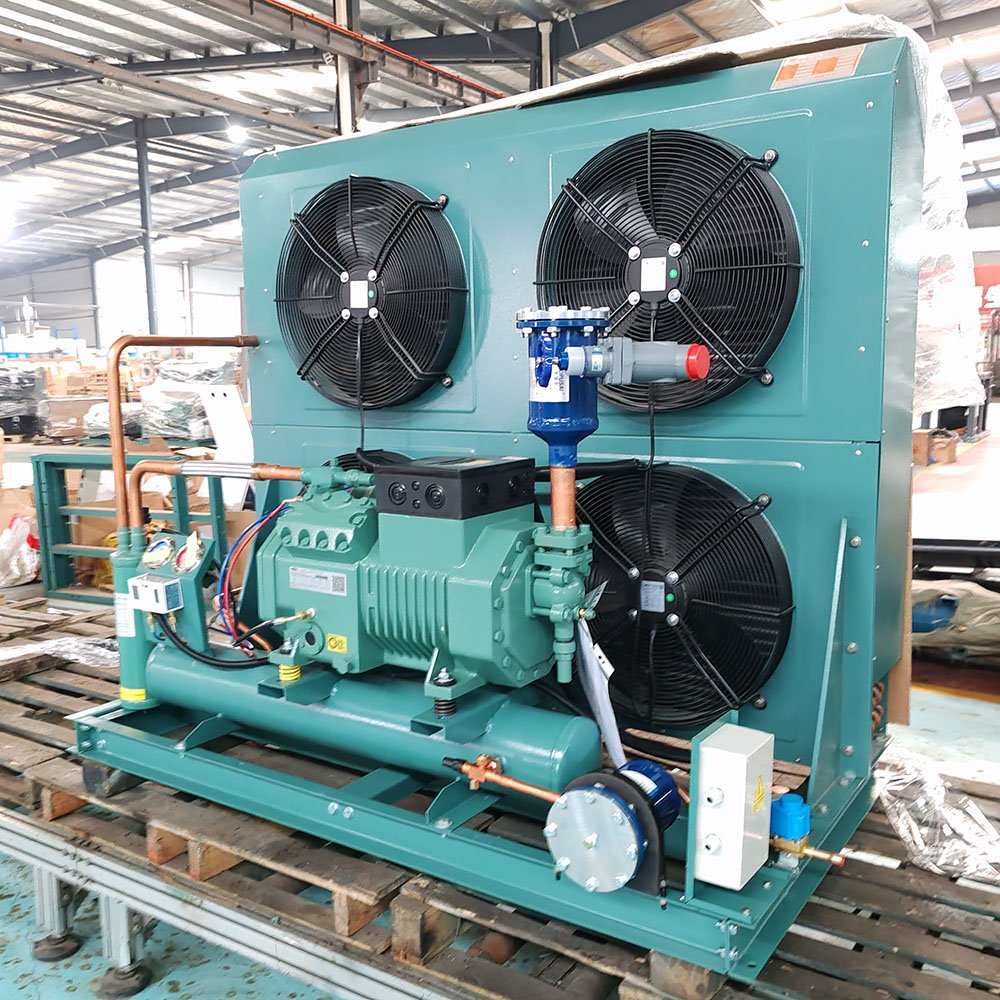 Freezing Drier Cooler Cold Storage 12V Open air Cooled Compressor Condensing Unit