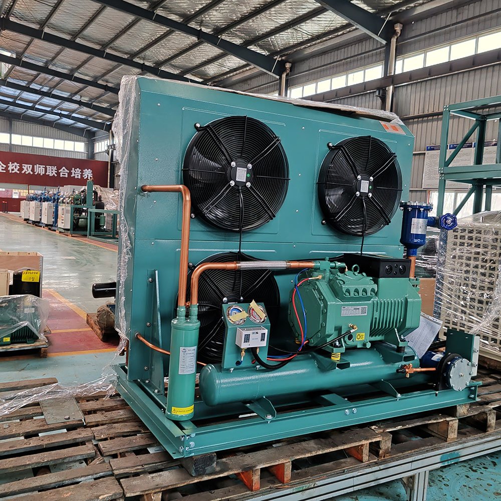 Freezing Drier Cooler Cold Storage 12V Open air Cooled Compressor Condensing Unit